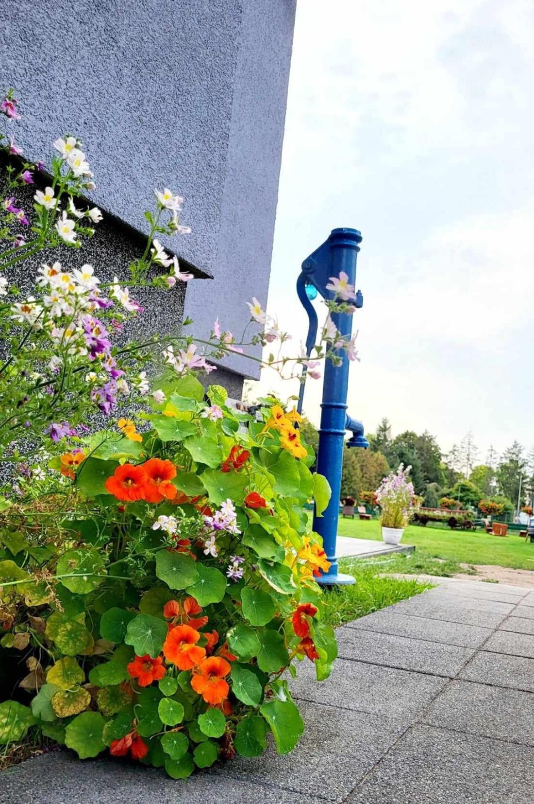 Villa Blue Mare Устроне-Морське Екстер'єр фото