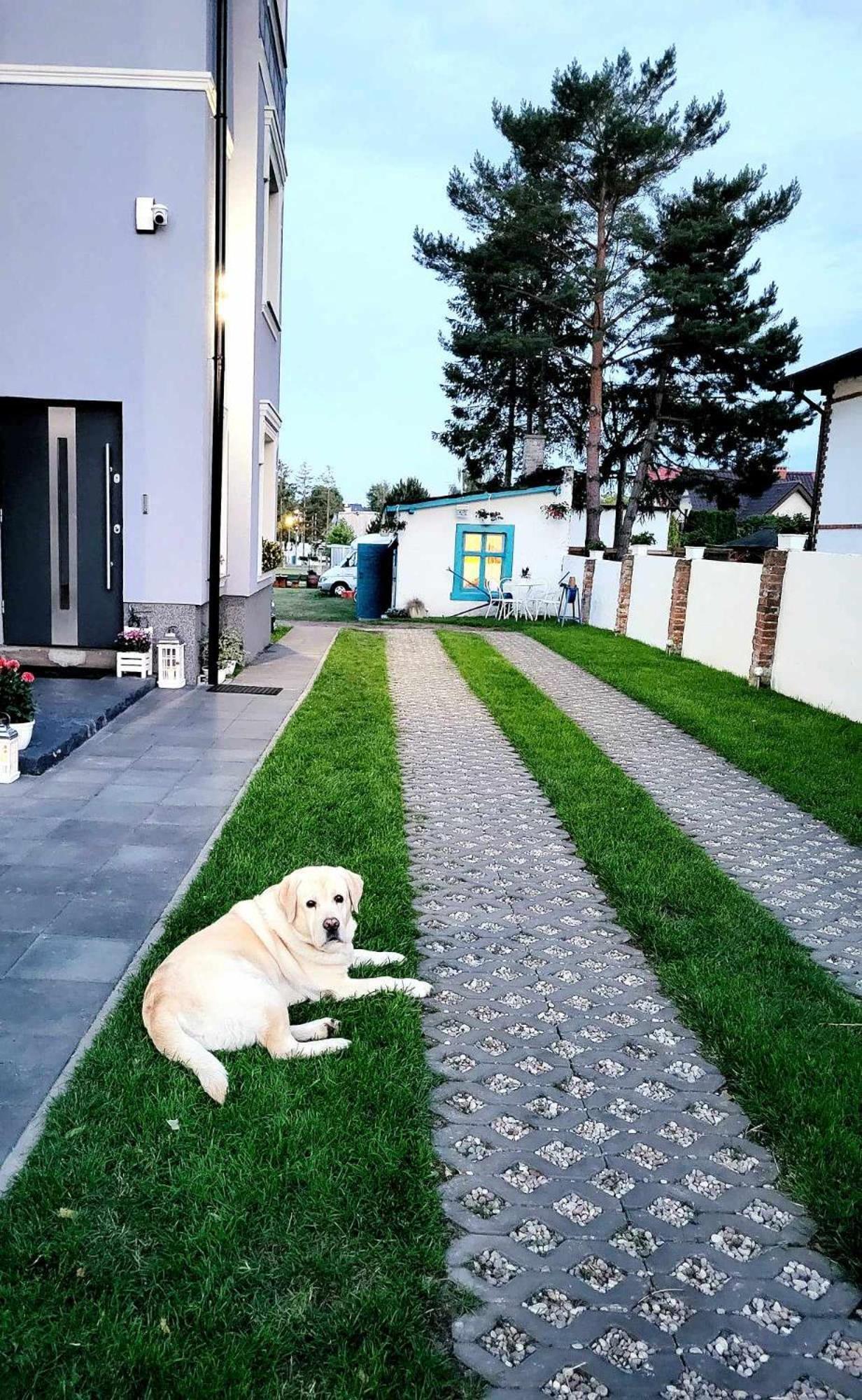 Villa Blue Mare Устроне-Морське Екстер'єр фото